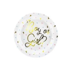 Lot De 6 Assiettes Carton Gender Reveal Party 23 Cm
