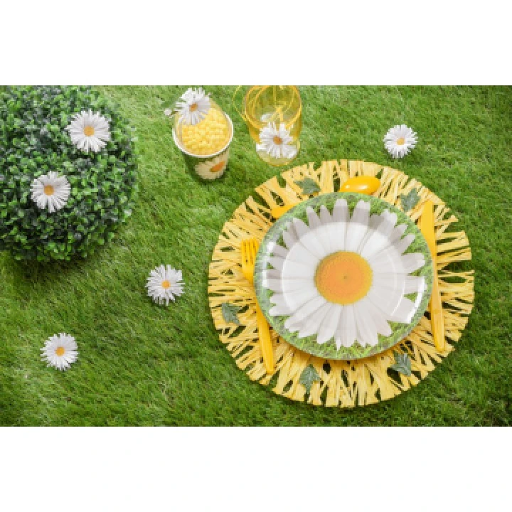 Lot De 10 Assiettes En Carton Marguerite D 22,5 Cm – Image 2