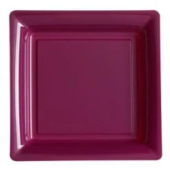 Lot De 12 Assiettes Carrées Jetables Aubergine GM