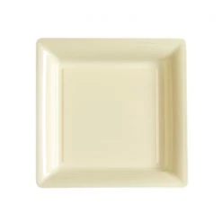 Lot De 12 Assiettes Carrées Jetables Ivoire PM