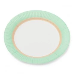 Lot De 12 Assiettes Jetables En Carton Menthe D 18 Cm