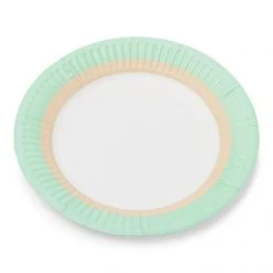 Lot De 12 Assiettes Jetables En Carton Menthe D 23 Cm