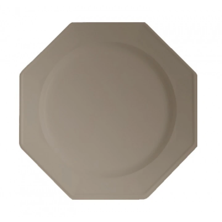 Lot De 8 Assiettes Plastiques Réutilisables Octogonales Taupe 24 Cm