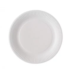 Lot De100 Assiettes Jetables Blanches En Carton 23cm
